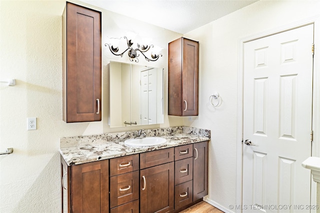 bathroom with wood finished floors and vanity
