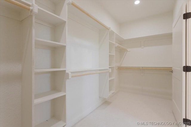 walk in closet featuring carpet flooring