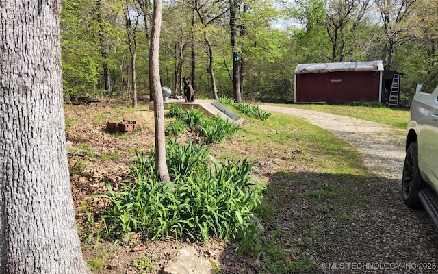view of yard featuring dirt driveway