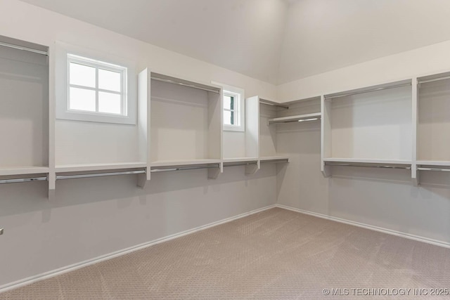 spacious closet with carpet floors and vaulted ceiling