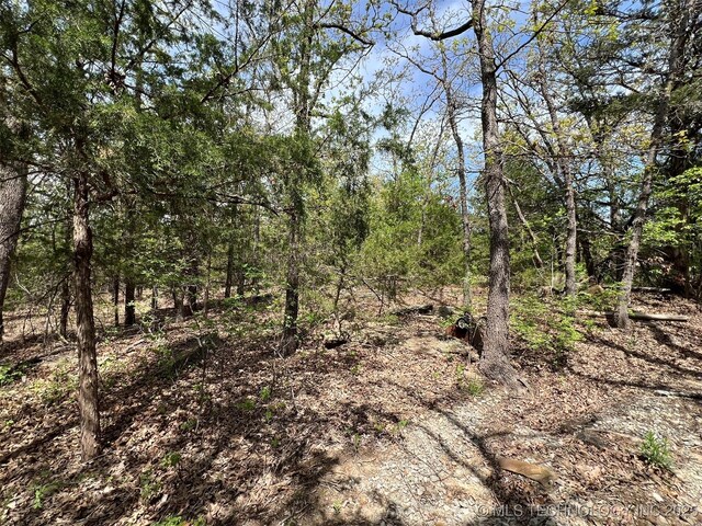 1380 N Lakeview Ave, Mannford, OK 74044 - view of landscape