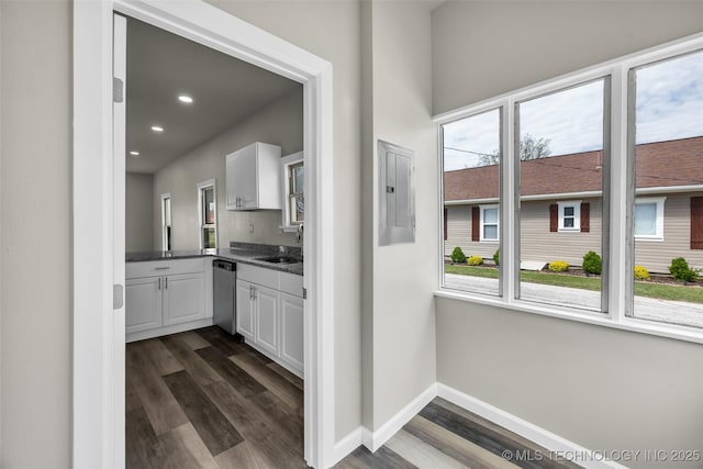 interior space with electric panel, dishwasher, a wealth of natural light, and dark wood finished floors