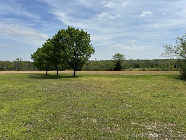 view of yard with a rural view