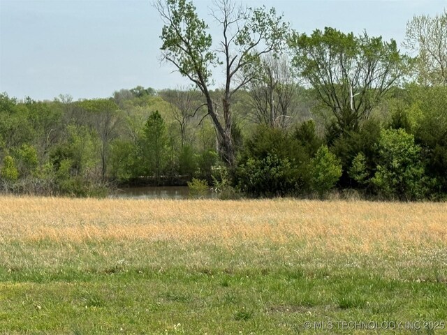 view of local wilderness with a wooded view