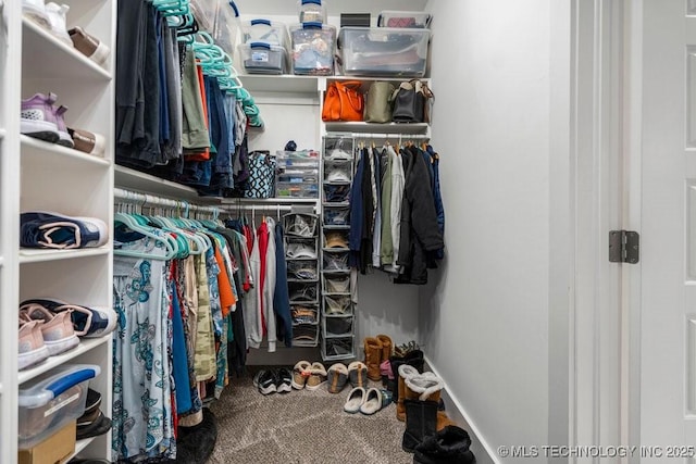 walk in closet with carpet