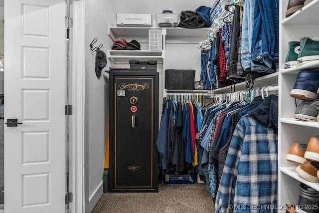 spacious closet with carpet floors