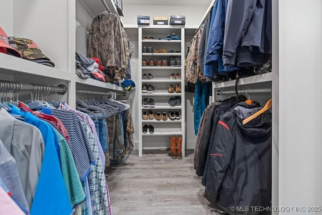 spacious closet featuring wood finished floors