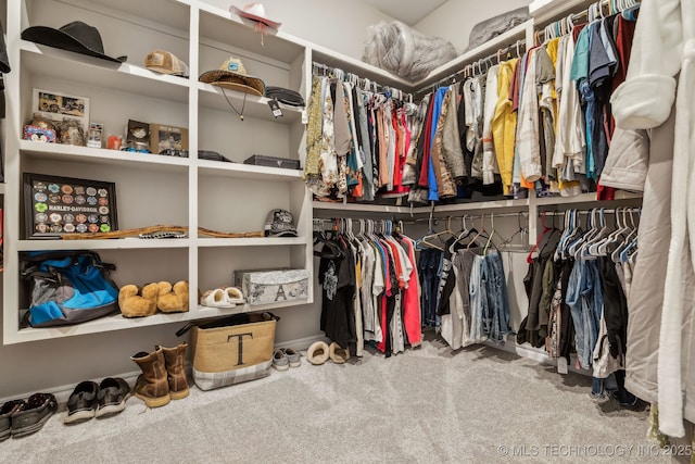 walk in closet featuring carpet flooring
