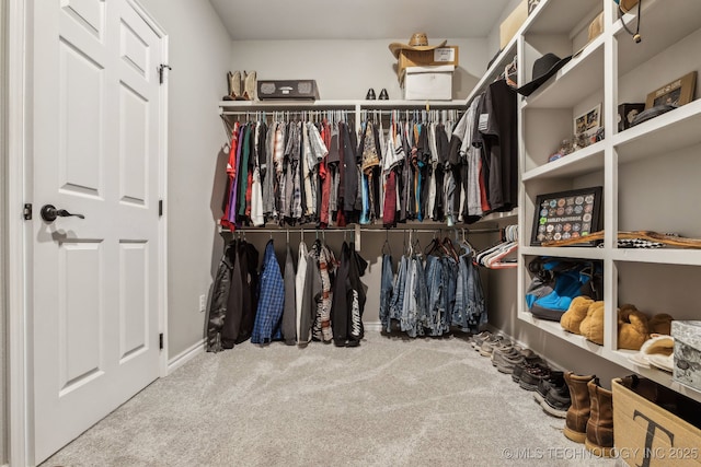 walk in closet featuring carpet