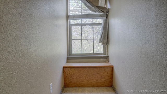 3863 W 173rd St N, Skiatook, OK 74070 - photo 77