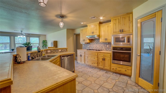3863 W 173rd St N, Skiatook, OK 74070 - photo 36