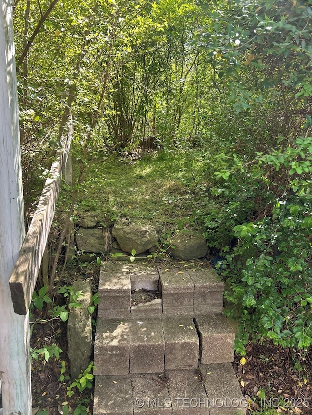 view of local wilderness