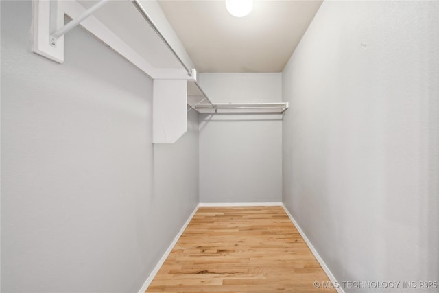 spacious closet featuring wood finished floors