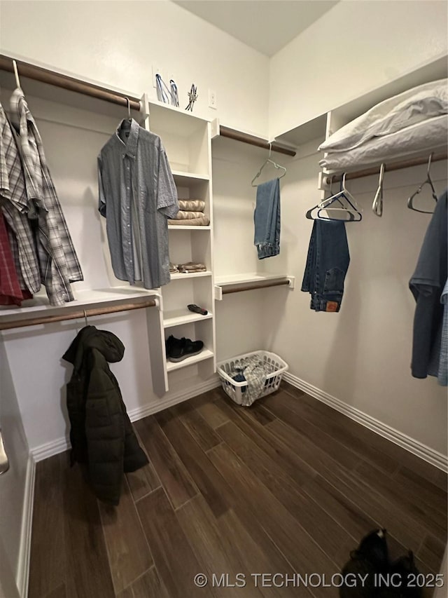 walk in closet featuring wood finished floors