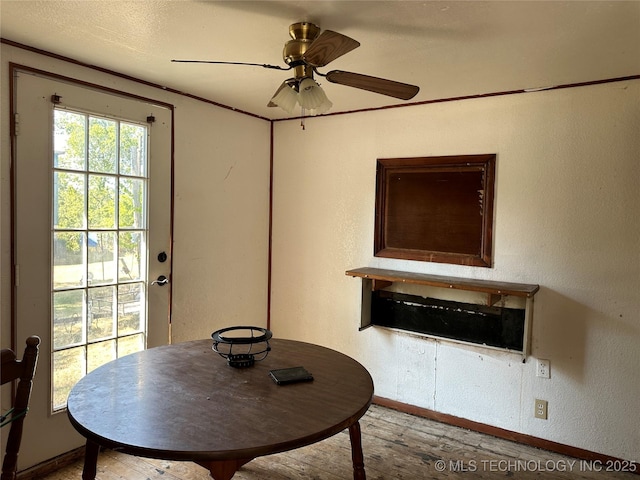dining room featuring light wood-style floors, a textured wall, a ceiling fan, and baseboards