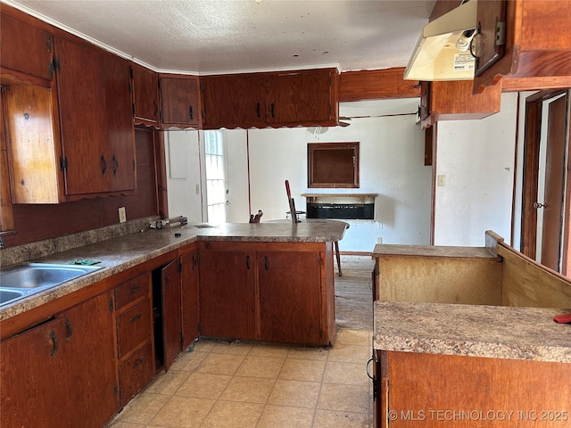 kitchen featuring a peninsula and a sink