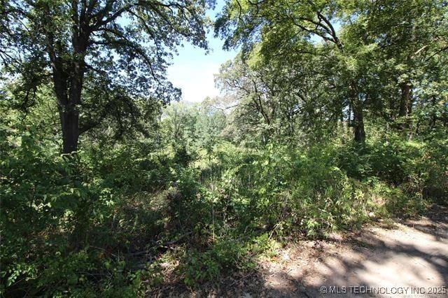 988 Wilson St, Durant, OK 74701 - view of landscape with a wooded view