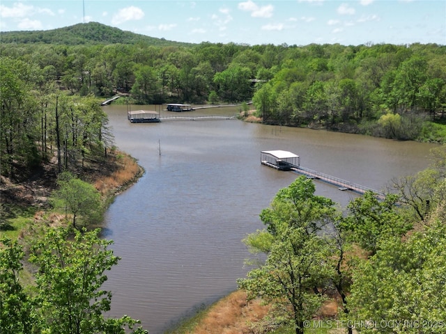 water view with a floating dock and a wooded view