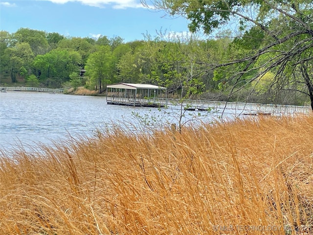 116500 S 4249th Rd, Eufaula, OK 74432 - water view featuring a forest