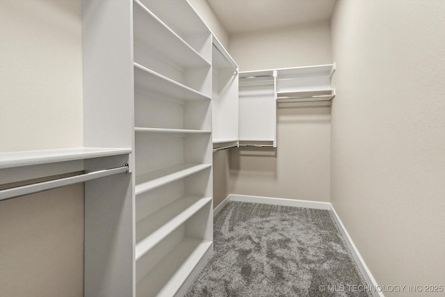 4231 W 4th St, Skiatook, OK 74070 - walk in closet featuring carpet