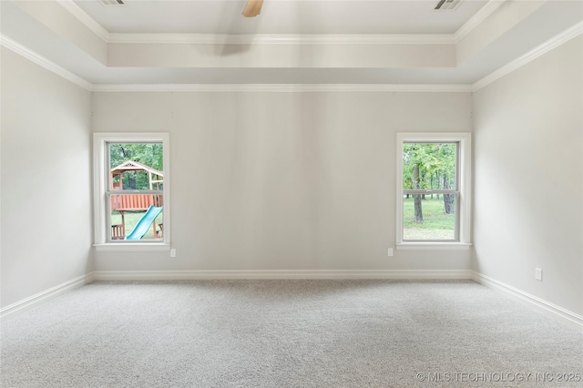 unfurnished room with a tray ceiling, carpet floors, and a wealth of natural light