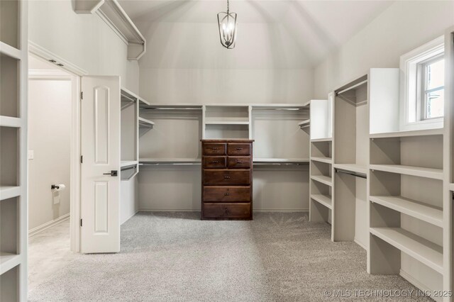 spacious closet featuring carpet flooring