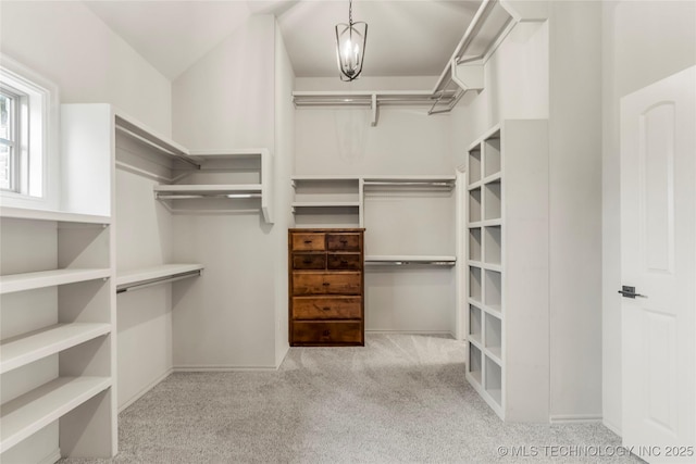 walk in closet featuring carpet flooring