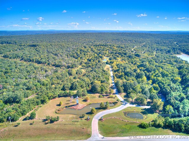 64 Hill St, Carlton Landing, OK 74432