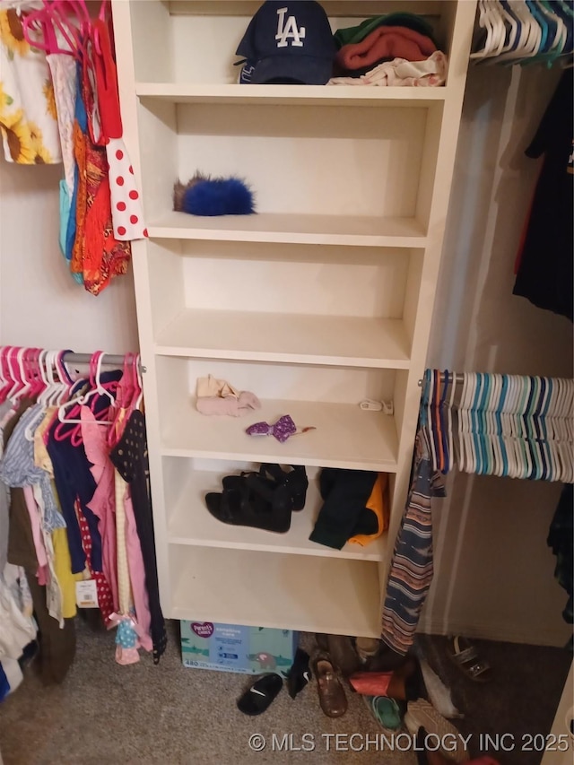 view of closet