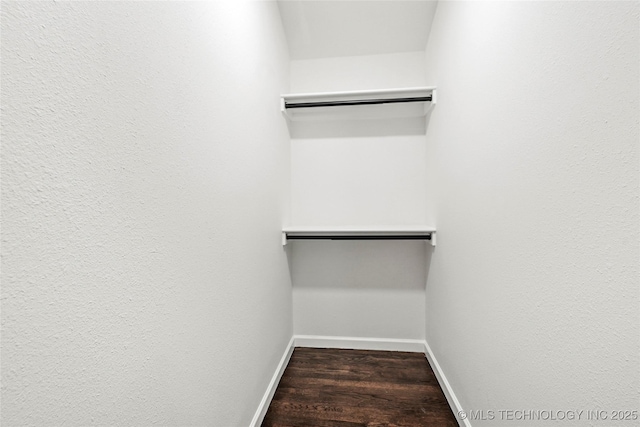 spacious closet featuring wood finished floors