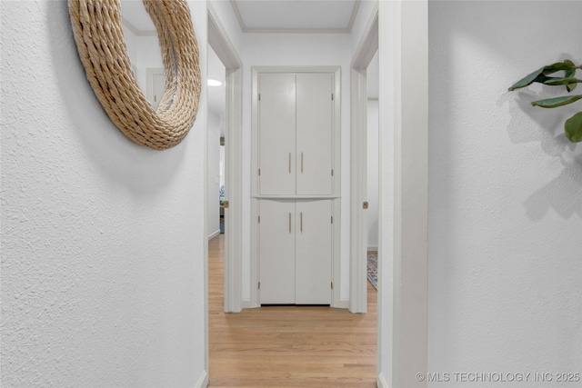 3644 S Louisville Ave, Tulsa, OK 74135 - corridor featuring light wood finished floors, ornamental molding, baseboards, and a textured wall