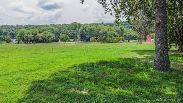 view of yard with a view of trees and a rural view