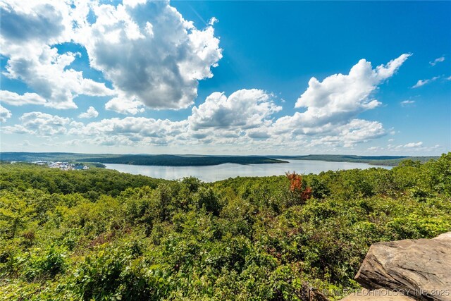 31 Park St, Carlton Landing, OK 74432 - water view featuring a wooded view