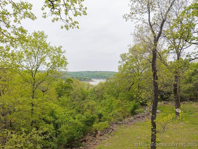 property view of water featuring a view of trees