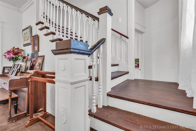 staircase featuring wood finished floors