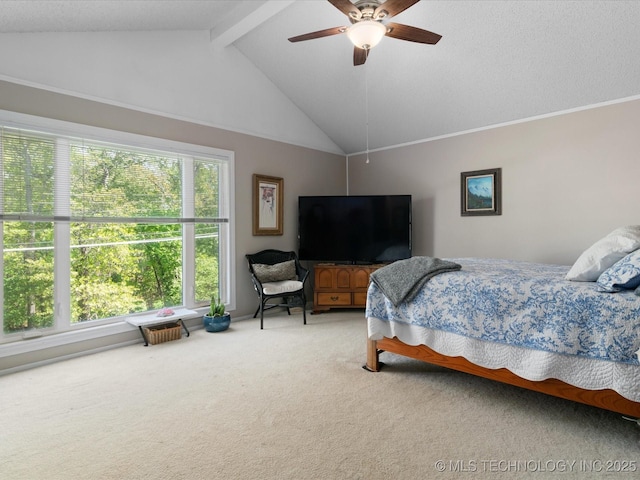 900 Briarwood Dr, Bartlesville, OK 74006 - photo 24