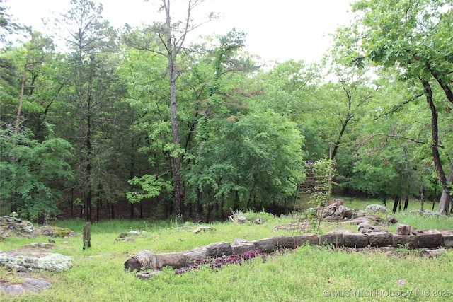 8563 SE 125th Rd, Red Oak, OK 74563 - view of yard featuring a wooded view