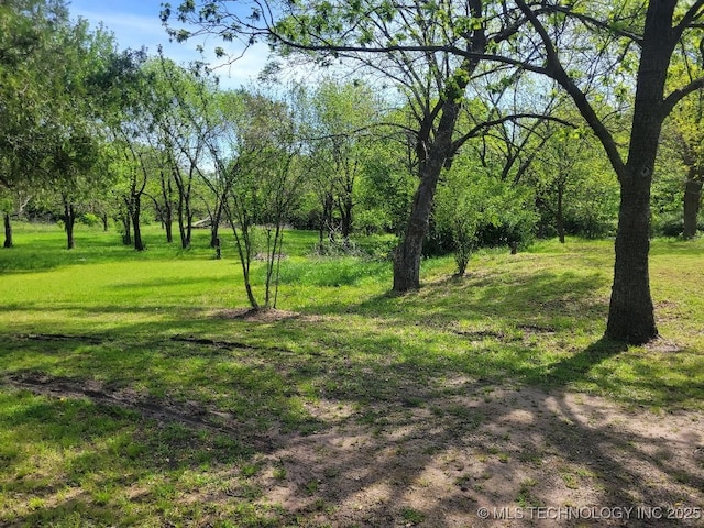 view of local wilderness