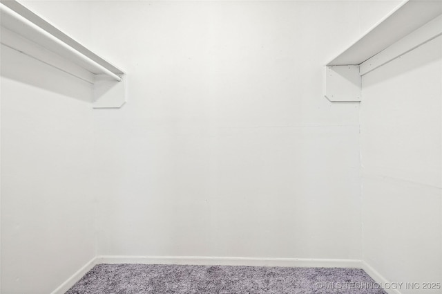 spacious closet with carpet floors