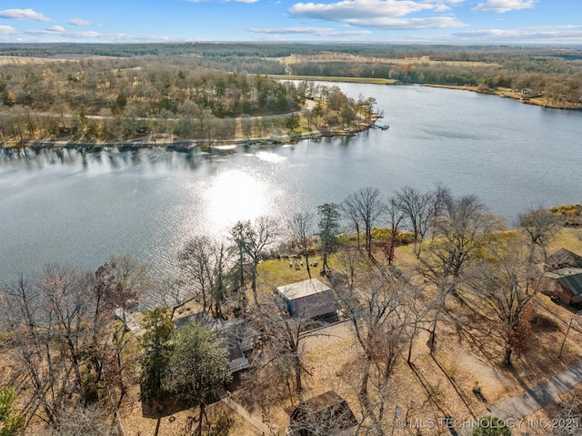 birds eye view of property with a view of trees and a water view