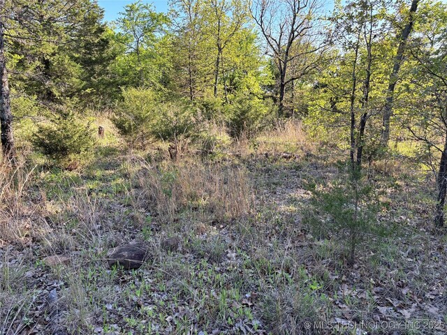 100752 S 4497th Rd, Vian, OK 74962 - photo 2