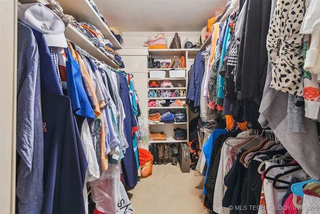 2412 E 23rd St, Tulsa, OK 74114 - walk in closet featuring carpet flooring