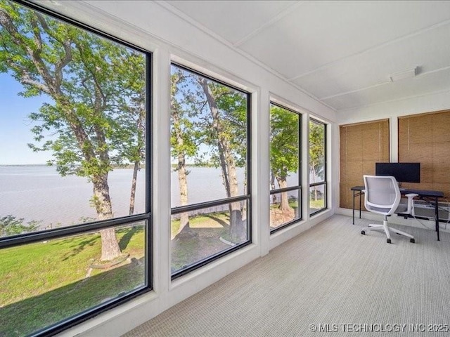 sunroom / solarium featuring carpet