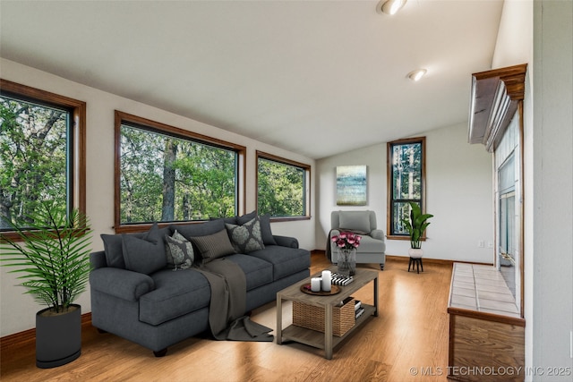 living room featuring lofted ceiling, wood finished floors, and baseboards