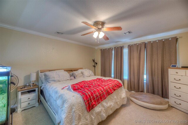 3249 S 138th E Ave, Tulsa, OK 74134 - bedroom with multiple windows, visible vents, carpet, and crown molding