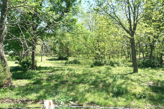 view of local wilderness