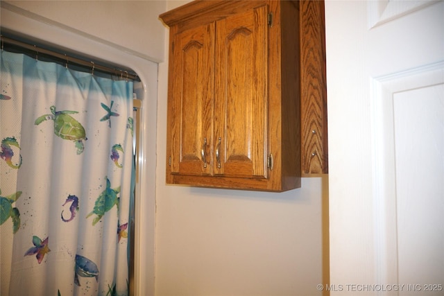 bathroom with a shower with curtain
