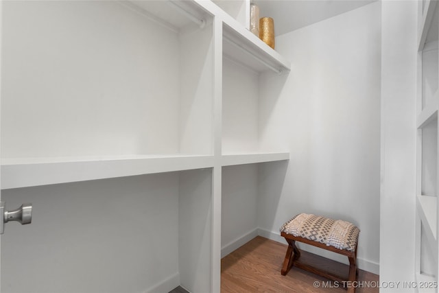 walk in closet featuring wood finished floors