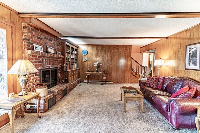2445 E 156th St N, Skiatook, OK 74070 - living room featuring a baseboard radiator, wood walls, and carpet floors