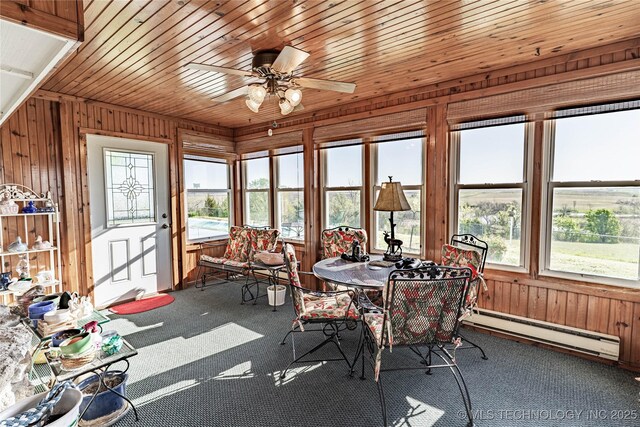 2445 E 156th St N, Skiatook, OK 74070 - sunroom featuring a baseboard heating unit, carpet floors, and wooden walls